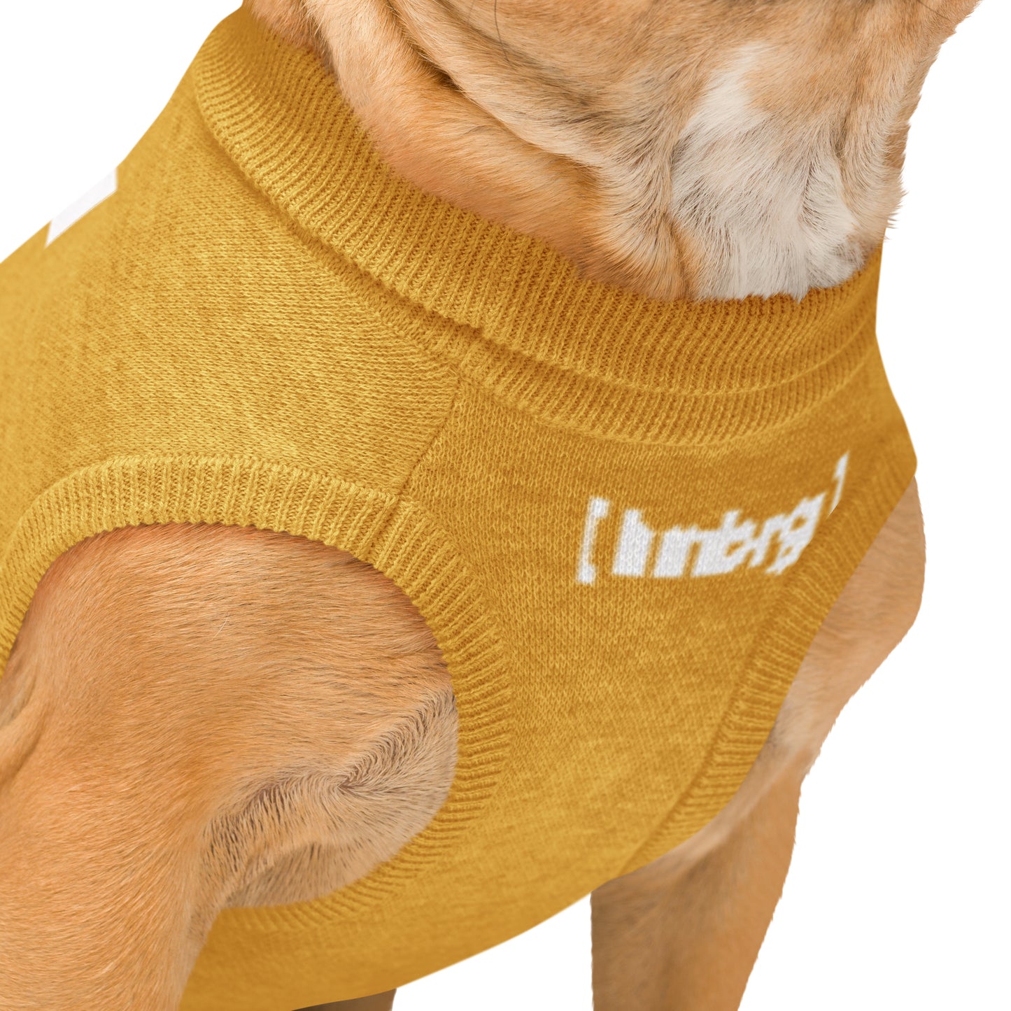 Mehr als ein Hundepullover. Ein Stück Eppendorf. Ein Stück Zuhause. Farbe: Senf/Weiß