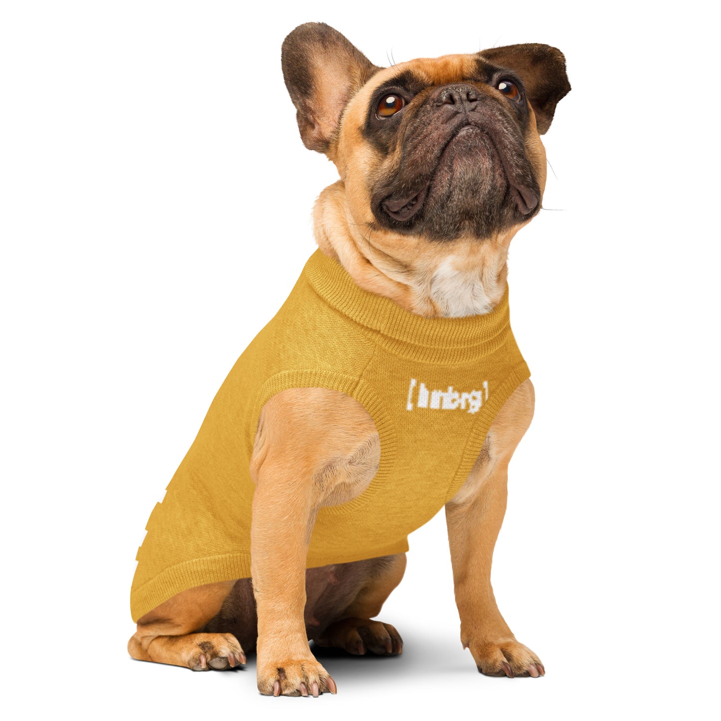Mehr als ein Hundepullover. Ein Stück Eppendorf. Ein Stück Zuhause. Farbe: Senf/Weiß